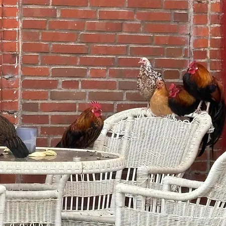 Apartament Wat'n Utkiek *